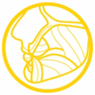 Illustration of jaw muscles
