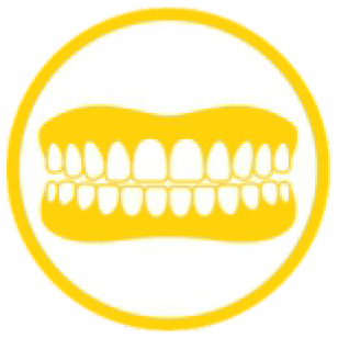 Illustration of teeth